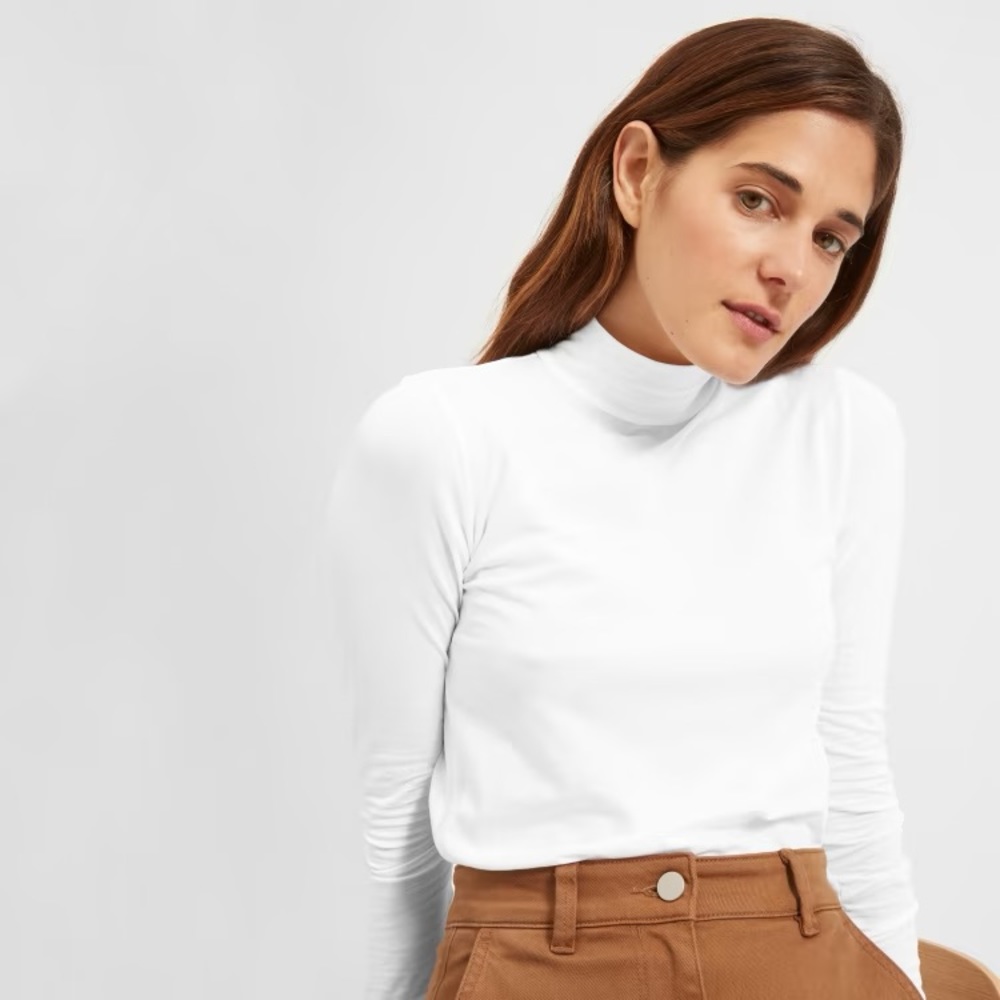 Everlane Pima Stretch Turtleneck